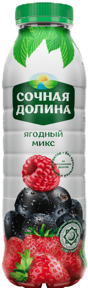 СОК ЯГОДНЫЙ МИКС "СОЧНАЯ ДОЛИНА"